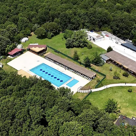 The Life Nest Otel Saray (Marmara)